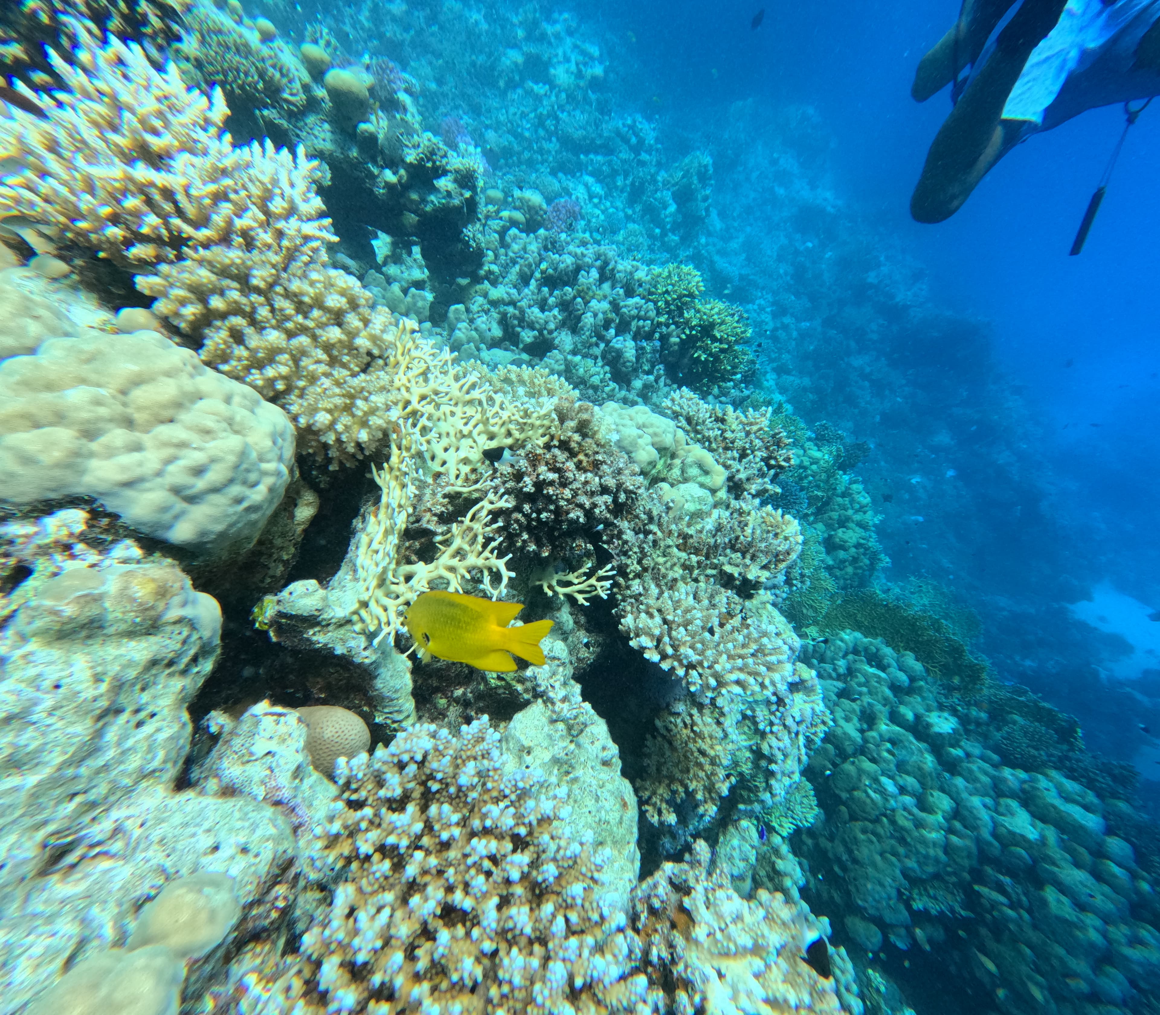 Hurghada Adventure – GOPR0841