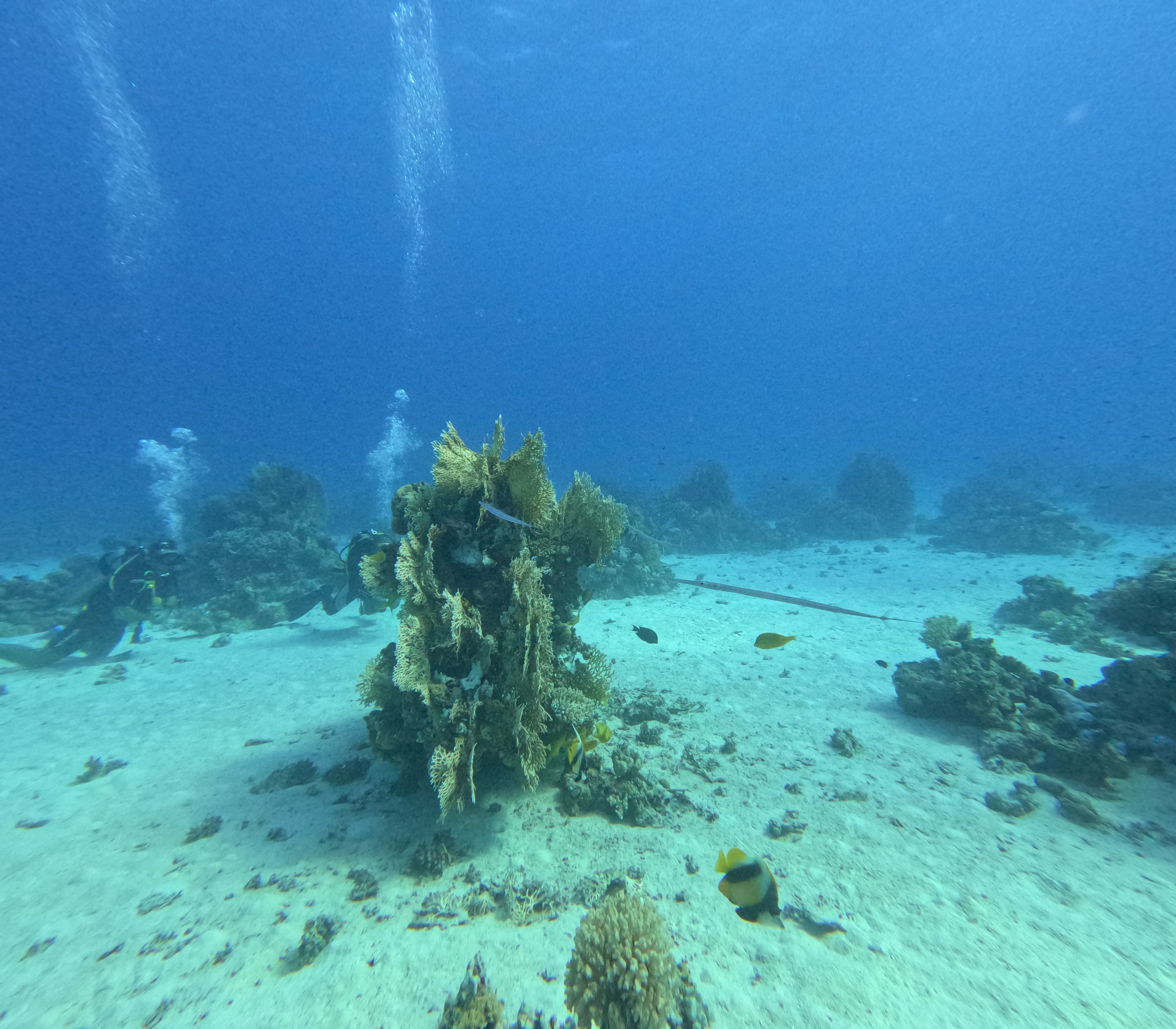 Hurghada Adventure – GOPR0990