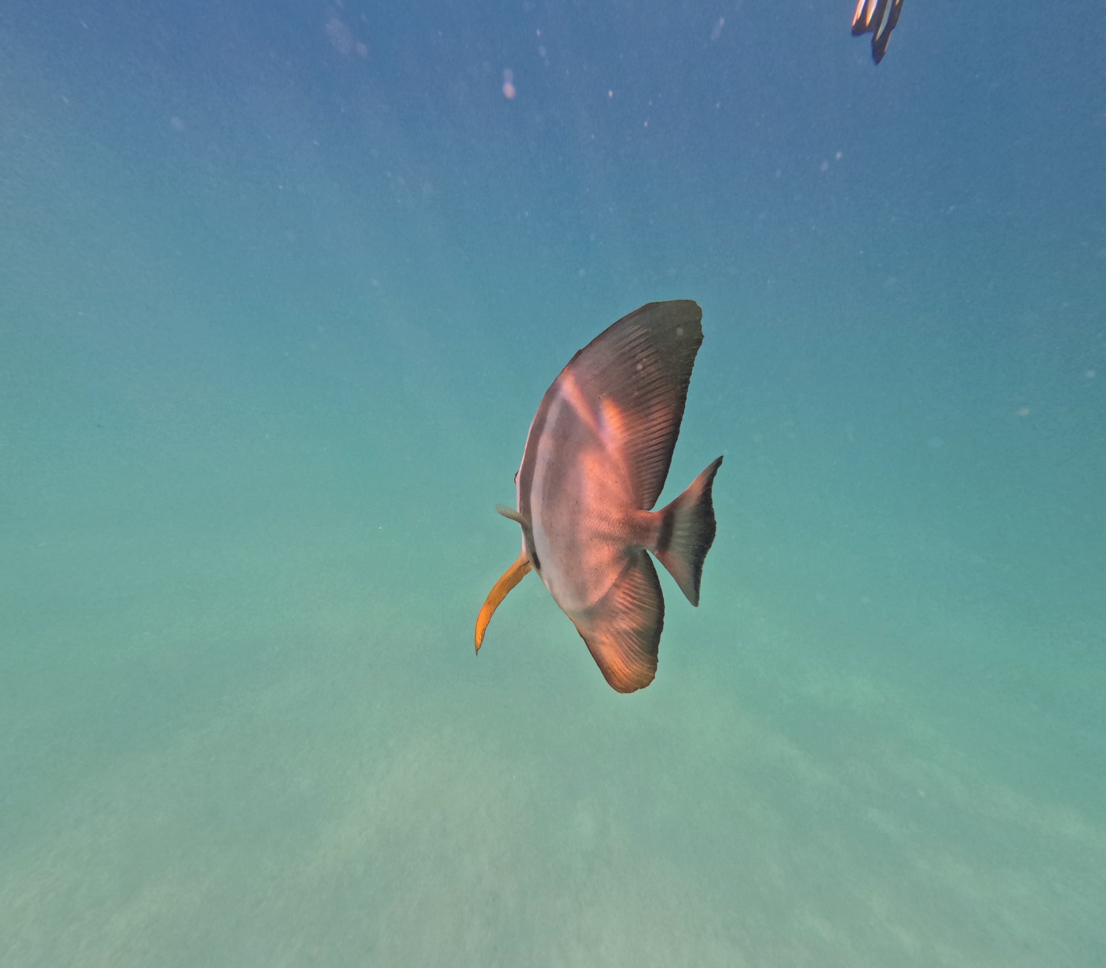 Hurghada Adventure – GOPR1008