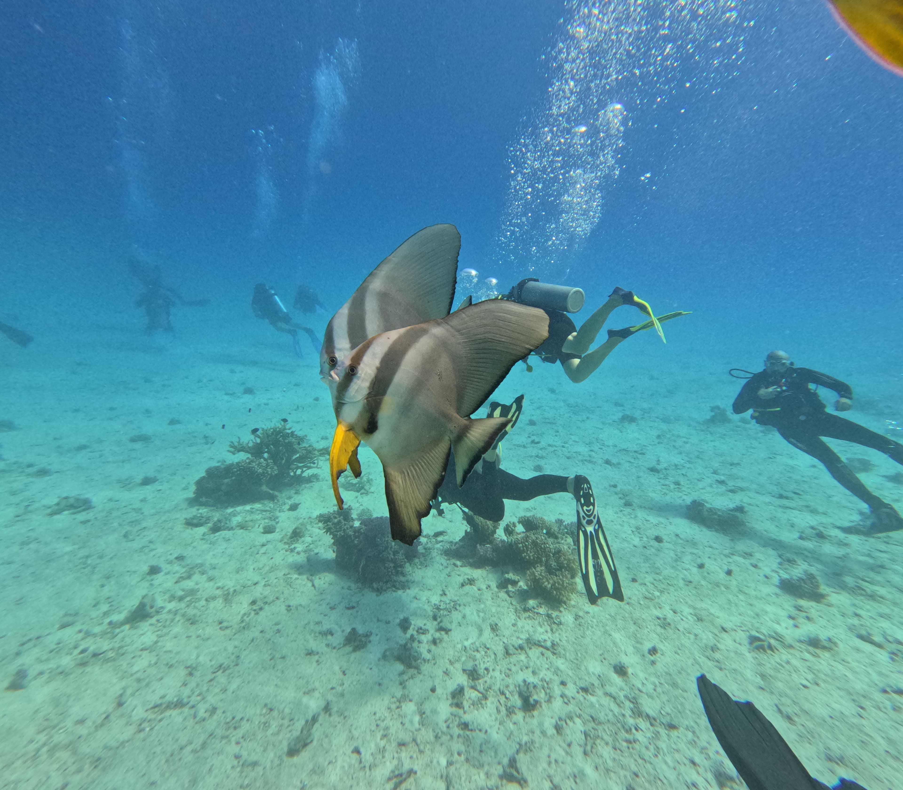 Hurghada Adventure – GOPR1021