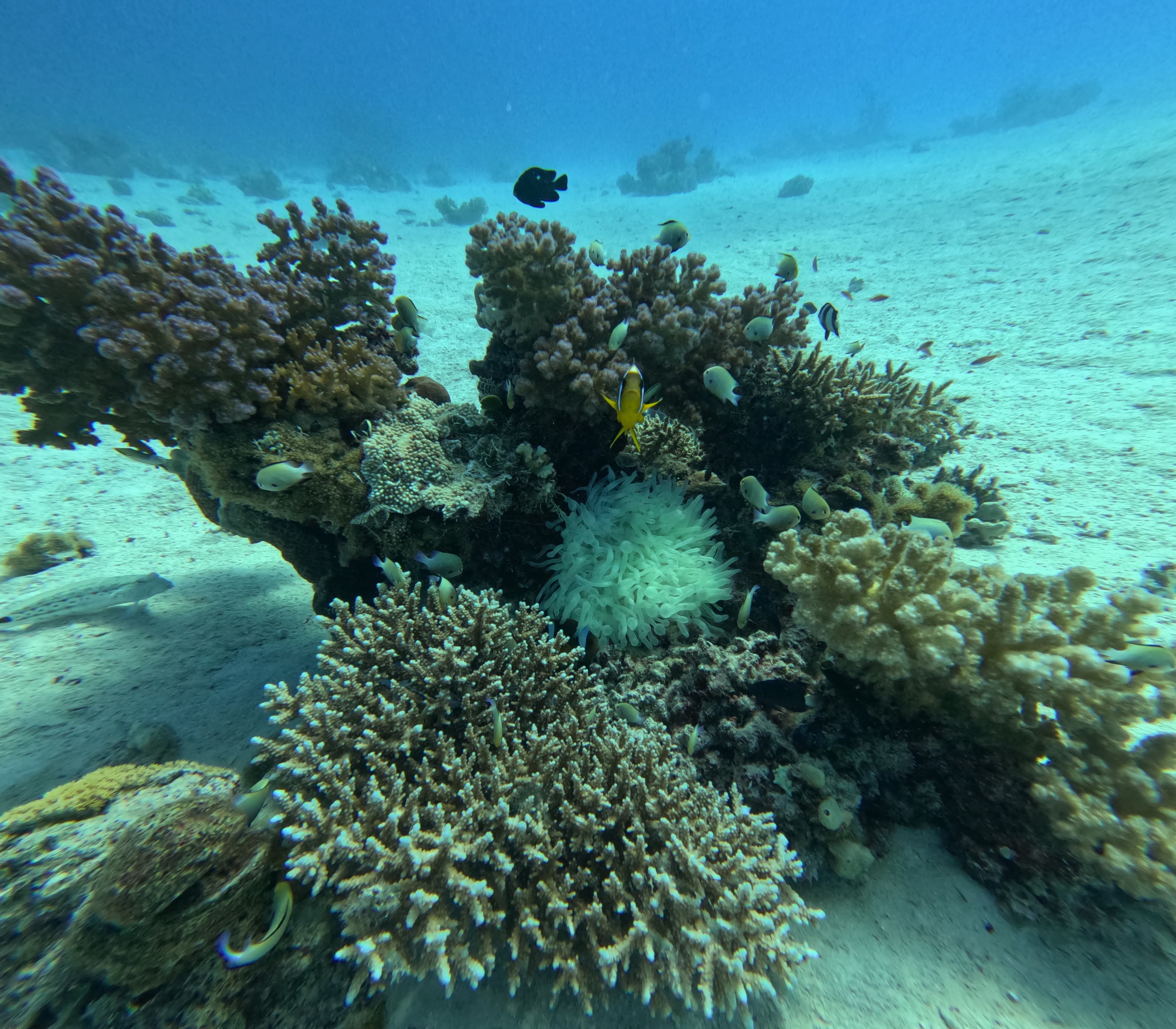Hurghada Adventure – GOPR1057